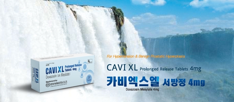 Web_Side Gallery_Cavi XL1_20250623_Artboard 3_818 x 356 px